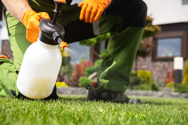 Best Pest Inspection Near Me  in South Houston, TX