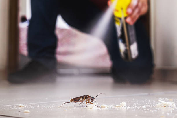 Best Best Pest Control Companies  in South Houston, TX
