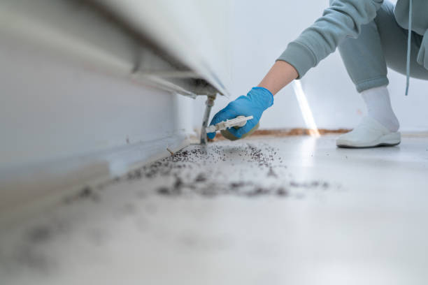 Best Bed Bug Extermination  in South Houston, TX